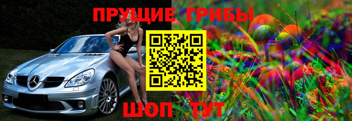 Псилоцибиновые грибы прущие грибы  Галлюциногенные грибы мухоморы  Вход с VPN  купить  цена  Киреевск 